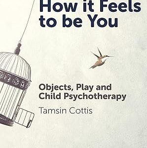 How it Feels to be You: Objects, Play and Child Psychotherapy