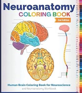 Neuroanatomy Colouring Book: Human Brain Colouring Book for Neuroscience and Neuroanatomy