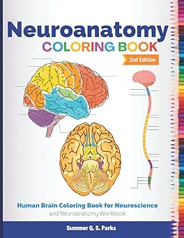 Neuroanatomy Colouring Book: Human Brain Colouring Book for Neuroscience and Neuroanatomy
